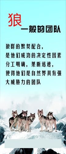 leyu乐鱼体育:490发动机供油提前角怎样调(498发动机供油提前角怎样调)